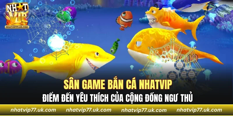 Điểm đến yêu thích của cộng đồng ngư thủ