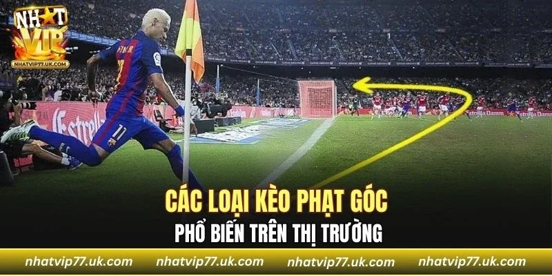 Nắm rõ các loại hình giúp đưa ra lựa chọn thông minh
