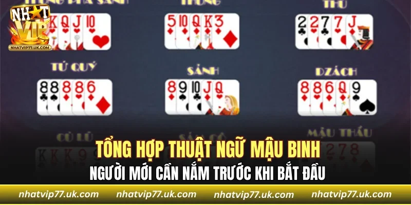 Tổng hợp thuật ngữ mậu binh quan trọng người mới cần nắm trước khi bắt đầu